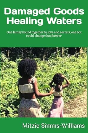 Damaged Goods, Healing Waters: One family bound together by love and secrets; One box could change this forever