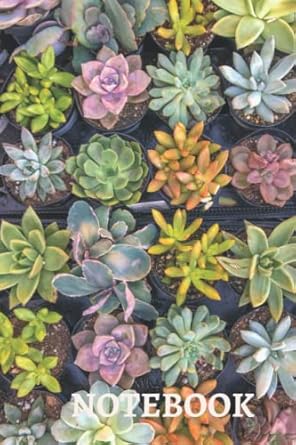 Journal: vintage flowered journal, 6x9', 120 pages ideas for moms, dads, kids, students, stamp collection and professionals