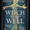 The Witch in the Well: A deliciously disturbing Gothic tale of a revenge reaching out across the years