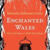 Enchanted Wales: Myth and Magic in Welsh Storytelling