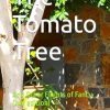 The Tomato Tree: And Other Flights of Fancy (2nd edition)
