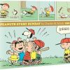 Peanuts Every Sunday 1961-1965: 0