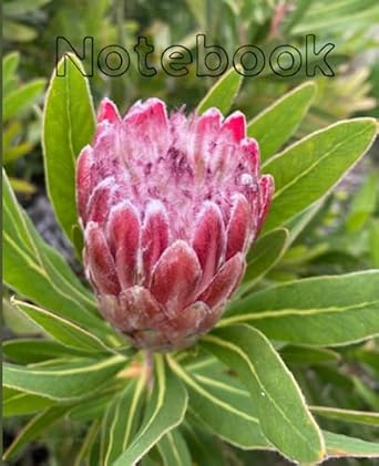 Protea Flower Notebook (real photography): College Ruled |100 pages | 7.5 x 9.25