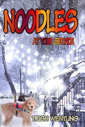 Noodles At Your Service