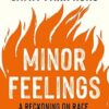 Minor Feelings: A Reckoning on Race and the Asian Condition