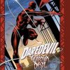 DAREDEVIL: GUARDIAN DEVIL GALLERY EDITION