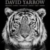 David Yarrow Photography: Americas Africa Antarctica Arctic Asia Europe
