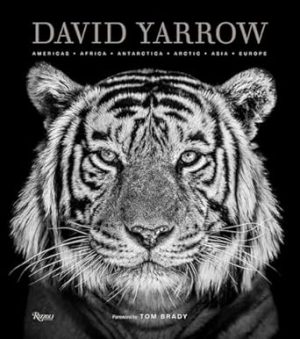 David Yarrow Photography: Americas Africa Antarctica Arctic Asia Europe
