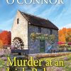 Murder at an Irish Bakery: An Enchanting Irish Mystery