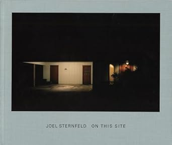 Joel Sternfeld:On this Site