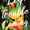 Big Trouble Coming: An accidental adventure of love and mayhem in Sri Lanka