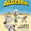 The Cartoon Guide to Algebra