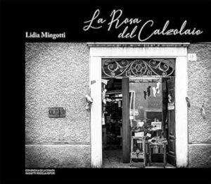 La rosa del calzolaio