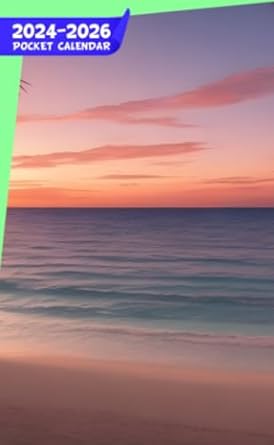 Pocket Calendar 2024 - 2026 With Moon Phase: Three-Year Monthly Planner for Purse , 36 Months from January 2024 to December 2026 | Anime-style beach ... | Beach view with palms | Hint of mystery