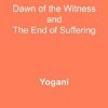 Self-Inquiry - Dawn of the Witness and the End of Suffering: (AYP Enlightenment Series): 7