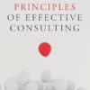 The Basic Principles of Effective Consulting