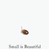Small Is Beautiful: A Study of Economics as if People Mattered