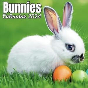 Bunnies Calendar 2023: September 2023 to December 2024 Monthly Weekly Organizer To Keep Track Of Dates , For All Ages
