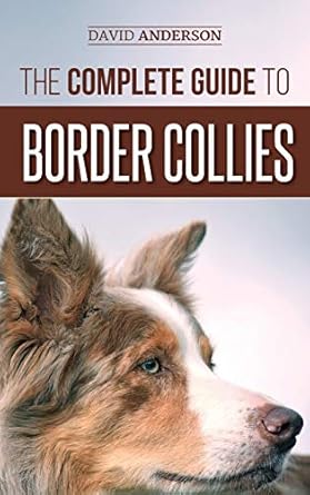The Complete Guide to Border Collies: Training, teaching, feeding, raising, and loving your new Border Collie puppy