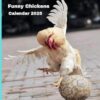 Funny Chickens Calendar 2025