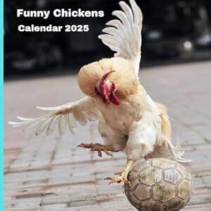Funny Chickens Calendar 2025