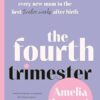 The Fourth Trimester: Unfiltered, honest and achievable advice for every new mum in the first twelve weeks after birth