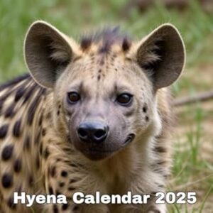 Hyena Calendar 2025: A gift for hyena lovers