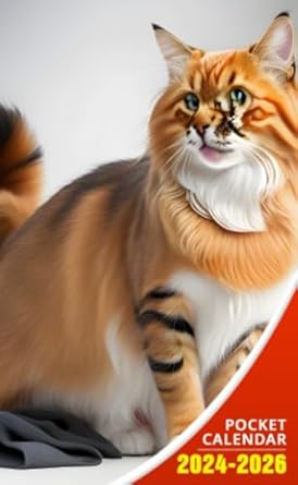 Pocket Calendar 2024 - 2026 With Moon Phase: Three-Year Monthly Planner for Purse , 36 Months from January 2024 to December 2026 | Ginger cat | Mixed breed