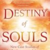 DESTINY OF SOULS: New Case Studies of Life Between Lives