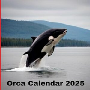 Orca Calendar 2025: A gift for orca lovers