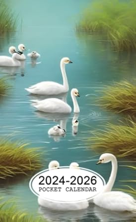 Pocket Calendar 2024-2026: Two-Year Monthly Planner for Purse , 36 Months from January 2024 to December 2026 | Photorealistic scene | Baby swans playing instruments