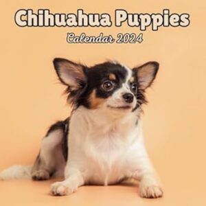 Chihuahua Puppies Calendar 2024: 16 Months Organizer For Home & Office Organizer , Mens , Womens , kids