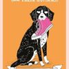 School For Dogs (and their humans): Fifty Cards with Tips and Tricks for Dogs and Their Owners