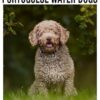 Portuguese Water Dogs Calendar 2025 - 2026: Plan Your Year with Monthly Planner Jan 2025 to Dec 2026, Beautiful Photography, US Holidays - Perfect for Gifting