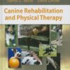 Canine Rehabilitation and Physical Therapy