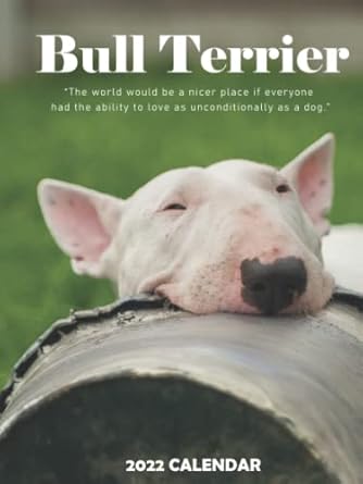 Bull Terrier 2022 Calendar: 12-month Calendar 2022 from Jan 2022 to Dec 2022 in mini size 8x6 inch