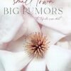Small Town Big Rumors