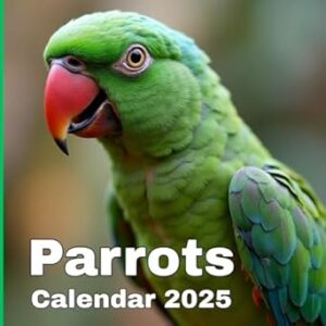 Parrots Calendar 2025: A gift for parrot lovers