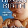 Human Birth: An Evolutionary Perspective