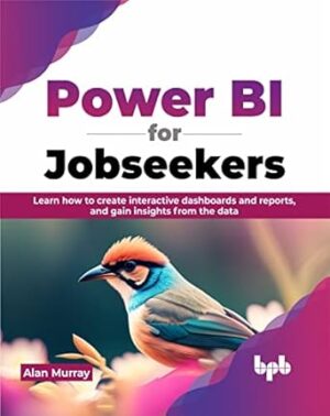 Power BI for Jobseekers: Learn how to create interactive dashboards and reports, and gain insights from the data (English Edition)