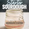 Starter Sourdough: The Step-By-Step Guide to Sourdough Starters, Baking Loaves, Baguettes, Pancakes, and More