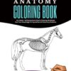 Horse Anatomy Coloring Book For Adults - Self Assessment Equine Coloring Workbook: Test Your Knowledge - For Equestrians & Veterinary Students