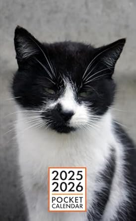 Pocket Calendar 2025-2026 for Purse - Black White Cat v2 | 2 Year Pocket Planner January 2025 - December 2026 | Small Pocket Size 4 x 6.5 | Sketches of Cats in the Middle