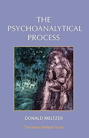 The Psychoanalytical Process