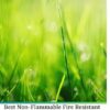 Best Non-Flammable Fire Resistant Grass Plant From Nature to Prevent Forest Wildfires Hardcover Edition