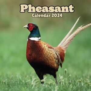 Pheasant Calendar 2024: 16 Months Organizer From September 2023 to December 2024 ,For Animals lovers , Men , Women , Girls , Boys