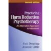 Practicing Harm Reduction Psychotherapy, Second Edition: An Alternative Approach to Addictions