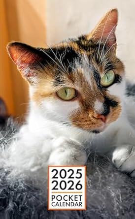 Pocket Calendar 2025-2026 for Purse - Cora Cat | 2 Year Pocket Planner January 2025 - December 2026 | Small Pocket Size 4 x 6.5 | Sketches of Cats in the Middle