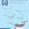 Draw 50 Sea Creatures: The Step-by-Step Way to Draw Fish, Sharks, Mollusks, Dolphins, and More