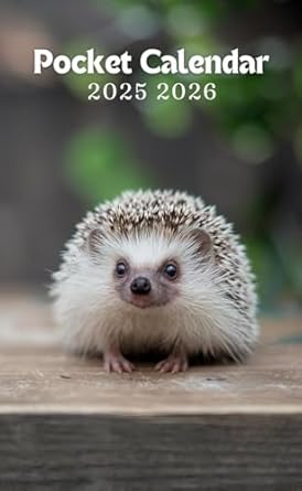 hedgehog pocket calendar 2025 2026: Stylish Mini Planner: 24 Months of Organization in Your Pocket! Compact at 4x6.5 inches